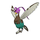 Shiny Unfezant as it appears in Ultra Sun & Ultra Moon