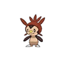 Shiny Chespin as it appears in Ultra Sun & Ultra Moon