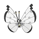 Shiny Vivillon as it appears in Sun & Moon