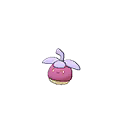 Shiny Bounsweet as it appears in Sun & Moon