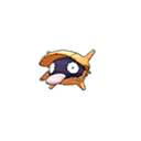 Shiny Shellder as it appears in Sun & Moon